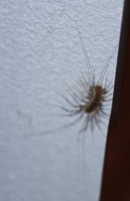 g1/73/564073/3/103377319.AW8luLRD.jpg