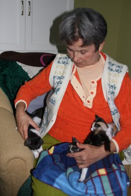 aunt raziye with the new kittens.jpg
