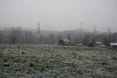 The first heavy snow fall.jpg