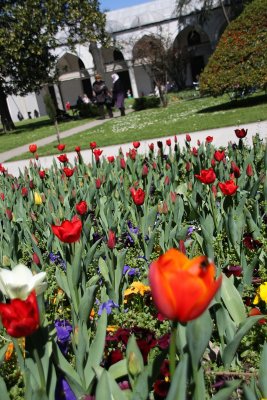 Benneth and Beatris 055.jpg Tulips in front of the Topkapi Palace