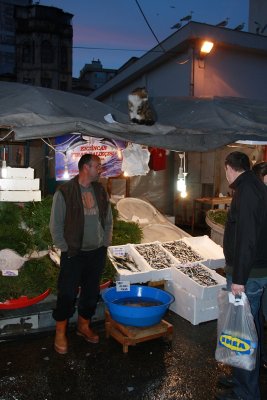 Benneth and Beatris 134.jpg Karakoy fish market