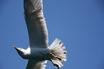 g1/73/564073/3/112355500.FkB3VOVW.jpg