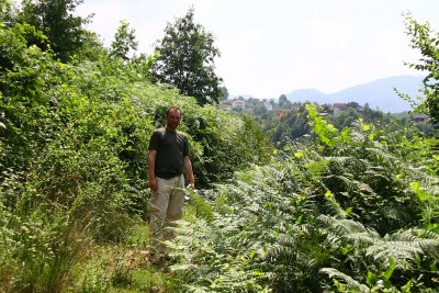 august 2010 022.jpg