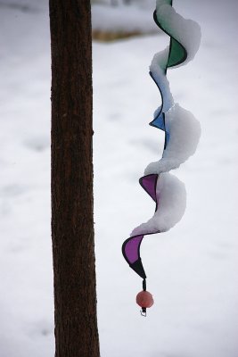 WINTER2010 001.jpg