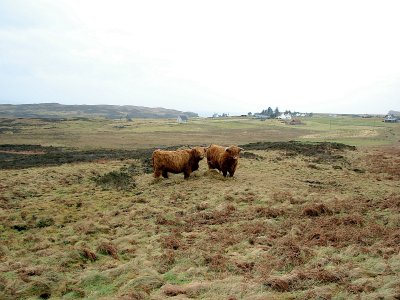 Scotland219.jpg