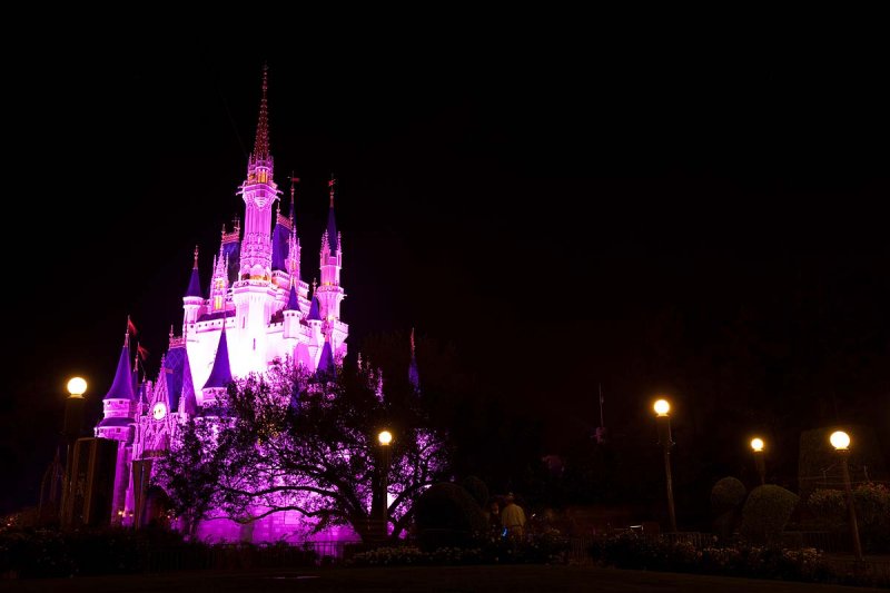 Light Pink Castle :-)