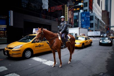 New York Mounted Police
