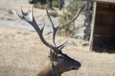 DSC_0735A.jpg