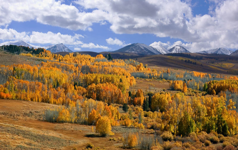 Near Bridgeport, Calif