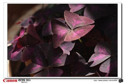 g1/73/623673/3/109076100.HRHaZU7Y.jpg