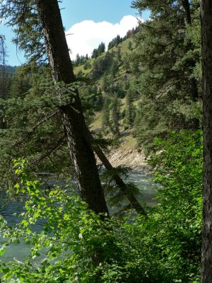 From our camp