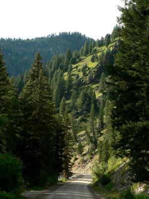 Bridger-Teton Nat. Forest - Typical Road