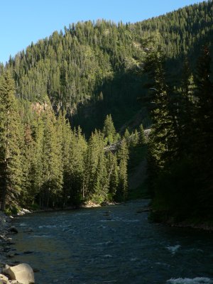 Camp at Grey's River