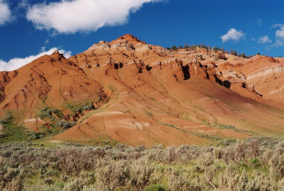 Gros Ventre River Area in Bridger-Teton National Forest