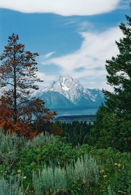 teton_nat_park