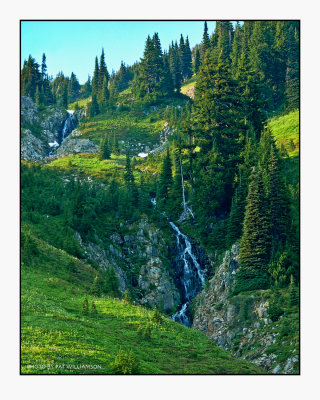 Mt. Rainier at Paradise