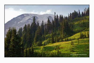 Mt. Rainier at Paradise