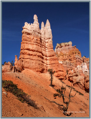 Bryce Canyon