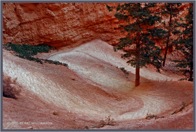 Bryce Canyon