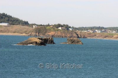 IMG_6156.jpg