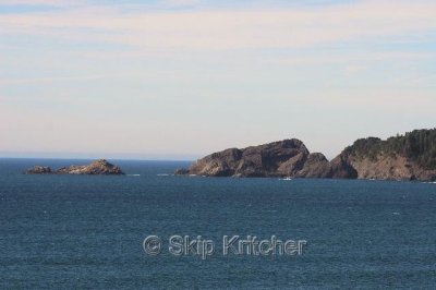 IMG_6159.jpg