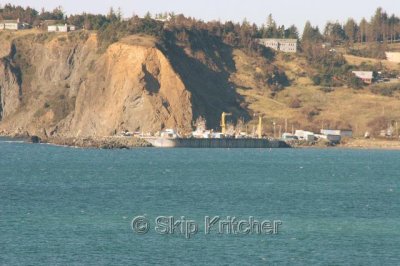 IMG_6161.jpg