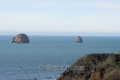IMG_6187.jpg