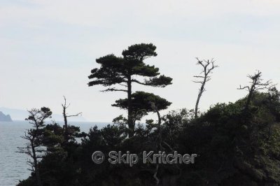 IMG_6197.jpg