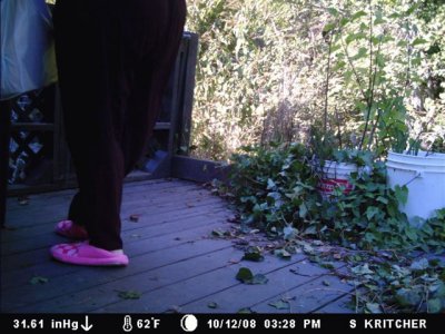 MDGC0016.jpg