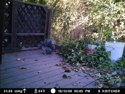 MDGC0034.jpg