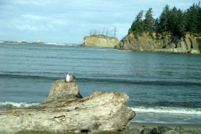 another_day_in_oregon
