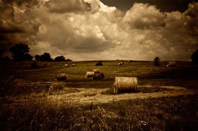 Madison County Hay Bales by Marcia Lamont Hopkins