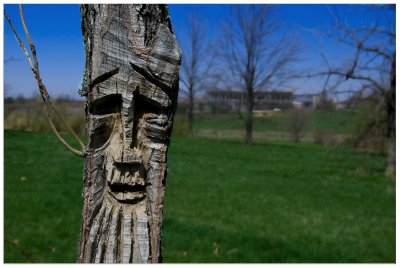 UK Arboretum Greeter