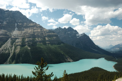 DSC_7875.jpg