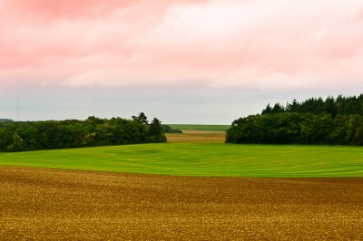 The Countryside, to Switzerland