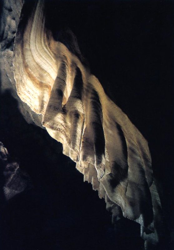 This formation is known as the lace.