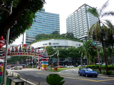 View of the Shaw House which is at the intersection of Orchard Rd. and Scotts Rd.