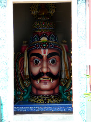 Close-up of the expressive face.