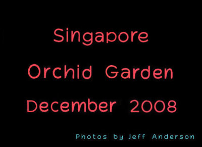 Singapore Orchid Garden cover page.