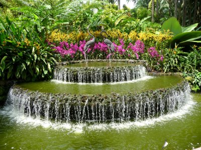 Fountain in the orchid garden.