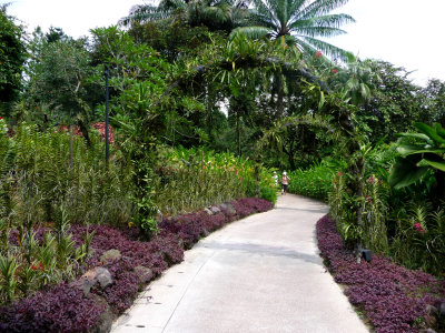 Pathway in the orchid garden.