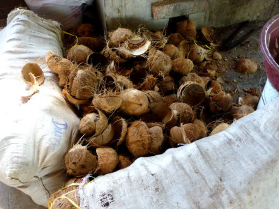 These are some of the coconuts that were compressed.