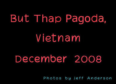 But Thap Pagoda, Vietnam (December 2008)