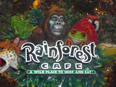  Inside MGM is the popular Rainforest Cafe.