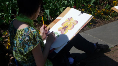An art student was sketching a tulip.