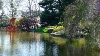 View of the pond from the Japanese Hill-and-Pond Garden.