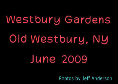 Westbury Gardens, Old Westbury, NY cover page.