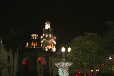 Faade of Metropolitan Cathedral with a fountain illuminated the foreground.