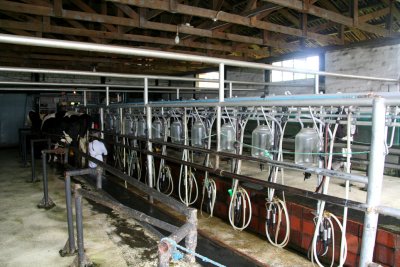 Milk production equipment at the hacienda.