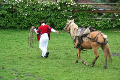 The same cowboy pulling a horse.